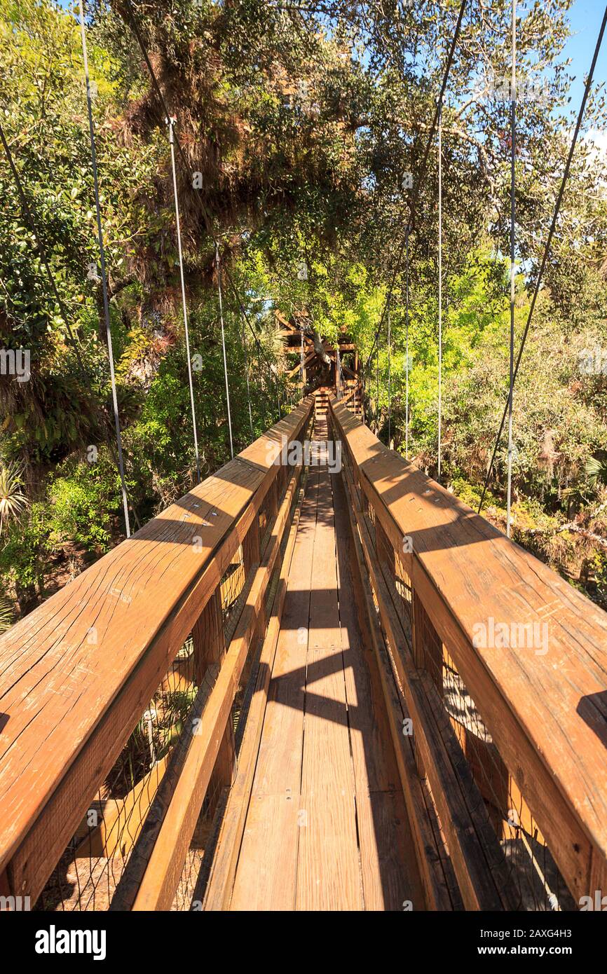 Tower, bridge, and Bird watching walkway boardwalk in Myakka State Park in Sarasota, Florida