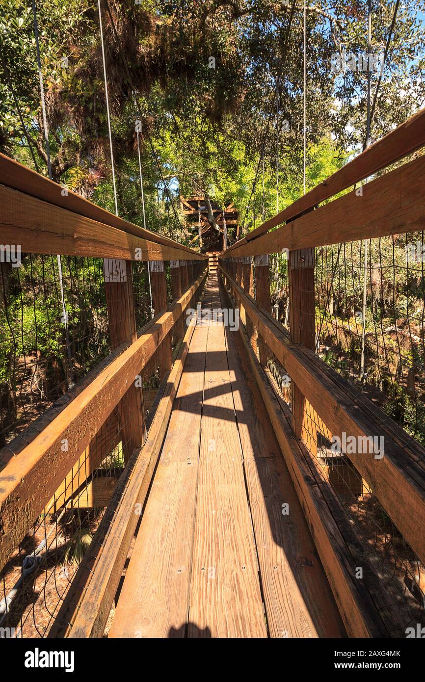 Tower, bridge, and Bird watching walkway boardwalk in Myakka State Park in Sarasota, Florida