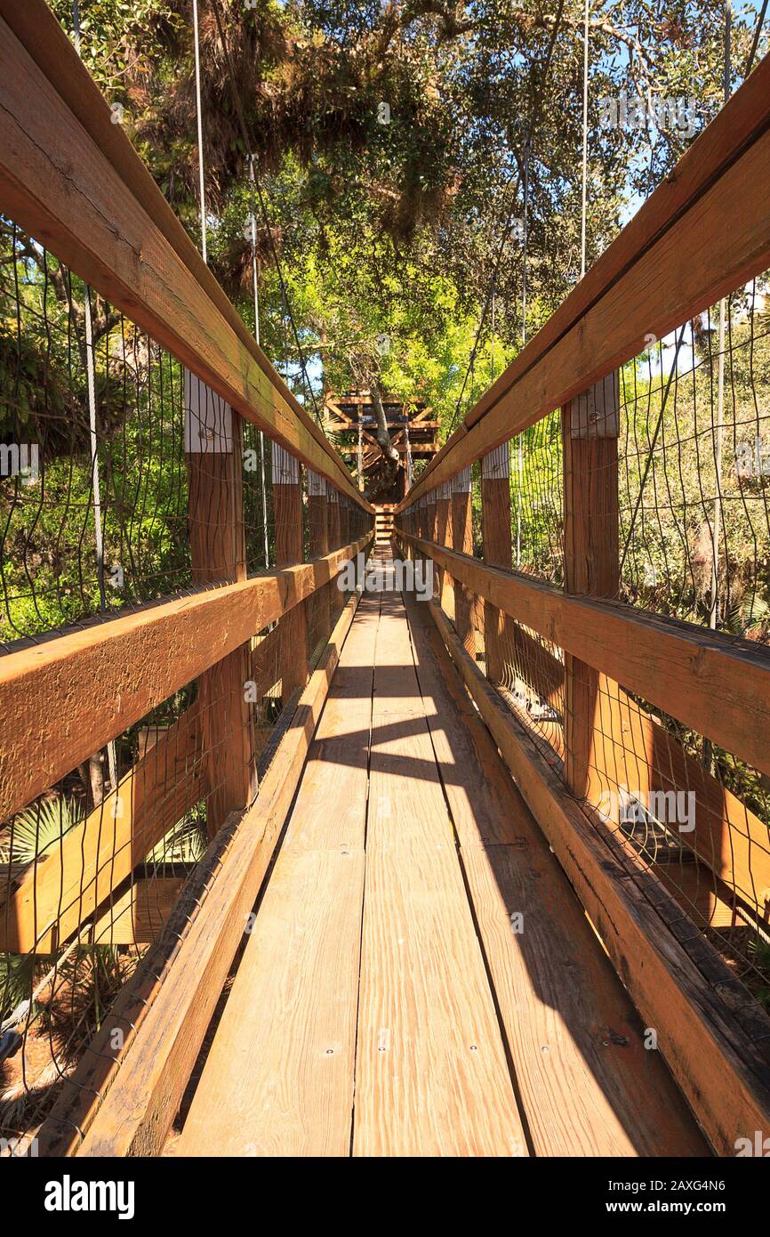 Tower, bridge, and Bird watching walkway boardwalk in Myakka State Park in Sarasota, Florida