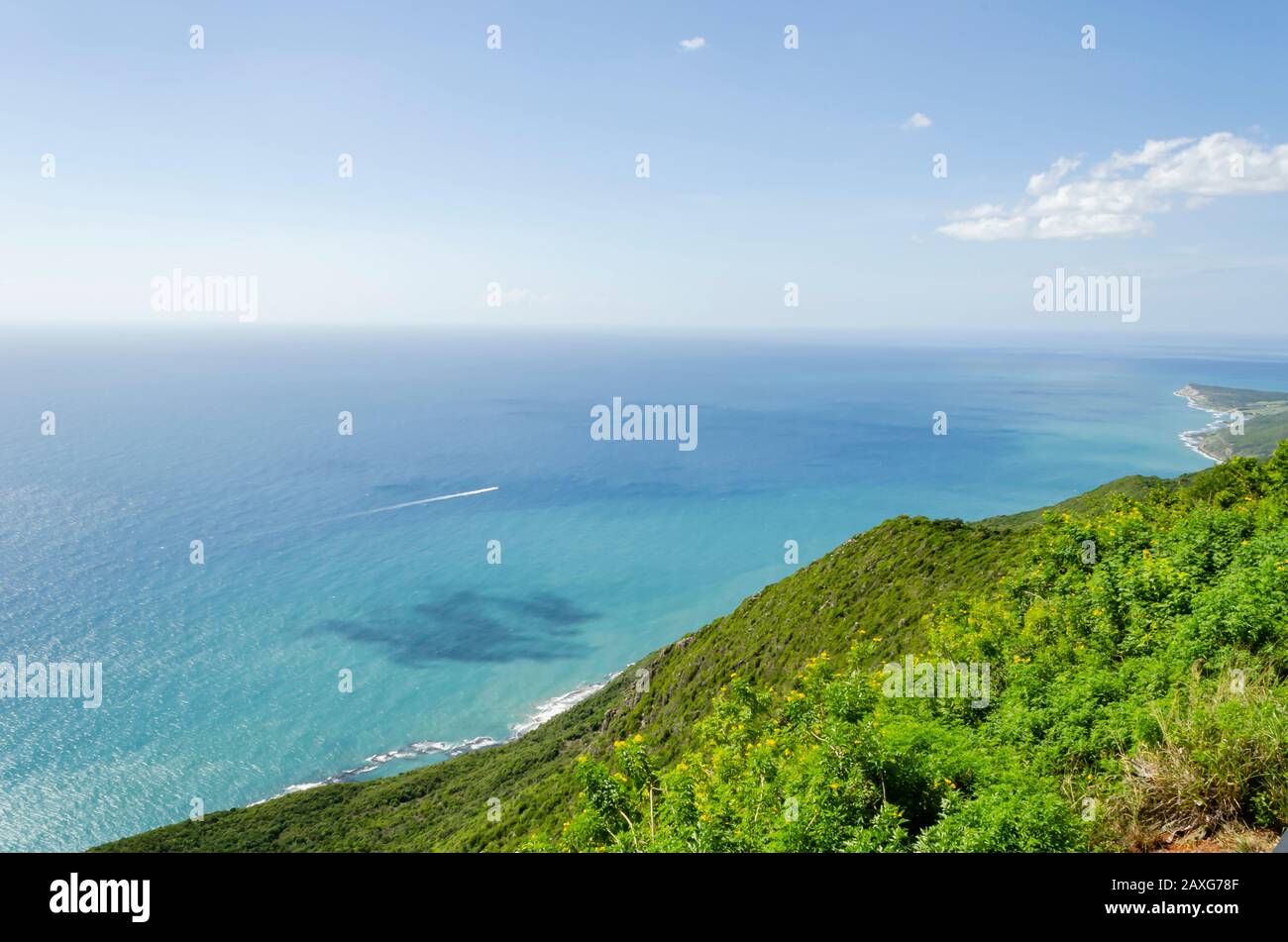 Green Coastline At The Foot Of A Cliff Stock Photo