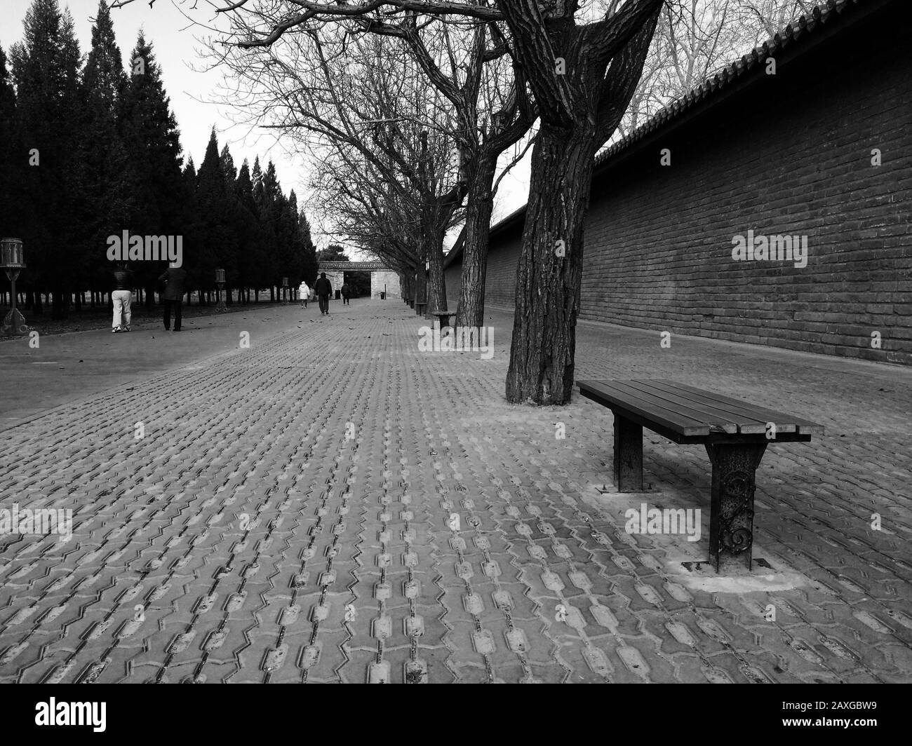 Leisure benches in the park in winter Stock Photo