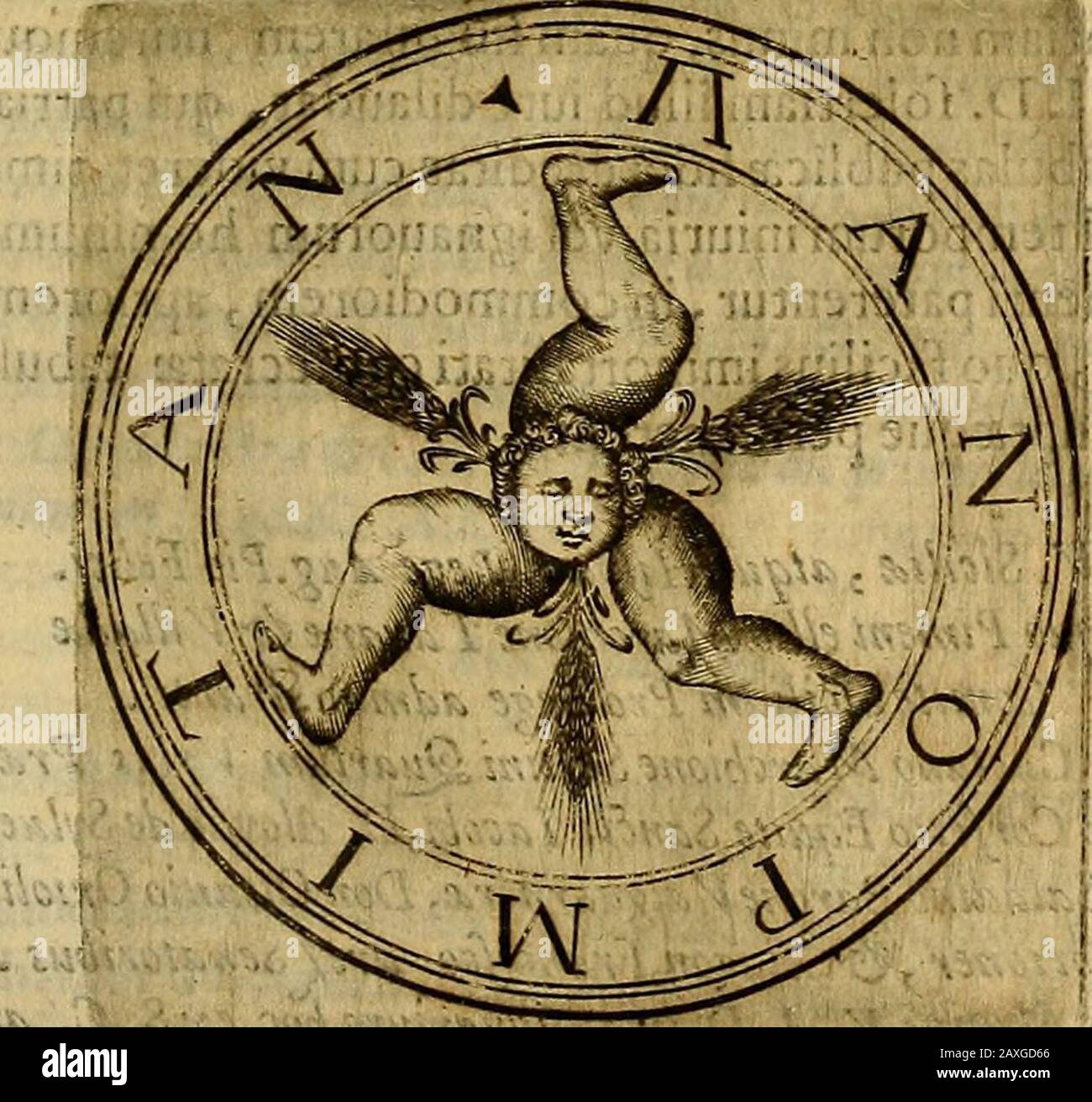 DFrancisci Baronii ac Manfredis De maiestate Panormitana libri IV . M A I B STAS: D.N.PbilippoIII. Hijp.ac Sicilidt JRegeDJFrancifcodeCafiroComiteCaHri Prorl Vrhisofficiacumtjs 3qu£adleorum miniHeria pertineni^ °utnegoiiacommoch Beip.facilius explicareniur, vnicuiqut officiofedem aptamprSbentes in domo Pratoria collocauerunt: D.Aloyftus MaftrAntffnwsBar-dt Prtetor. D. Petrus Opetinga, Tbomas a Cafcinafaafpar Agliata 3 Vfa-eentiits Vannius, Benediaus de PradoJFrancifcus SciroltaSenatores a Anno CI& Ij* CXVIL Superne itaque eft Aula, nec exigua plane , fic magnificis exor-nata pi£uris,fic infign Stock Photo