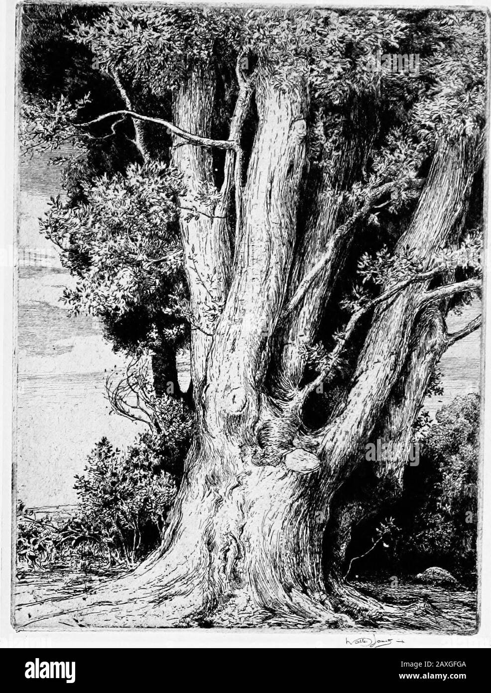 Modern etchings, mezzotints and drypoints . {By permission of Messrs