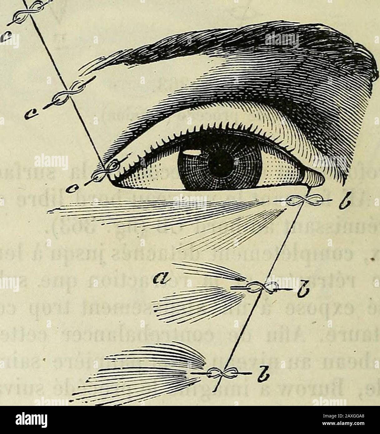 Eda triangle hi-res stock photography and images - Alamy