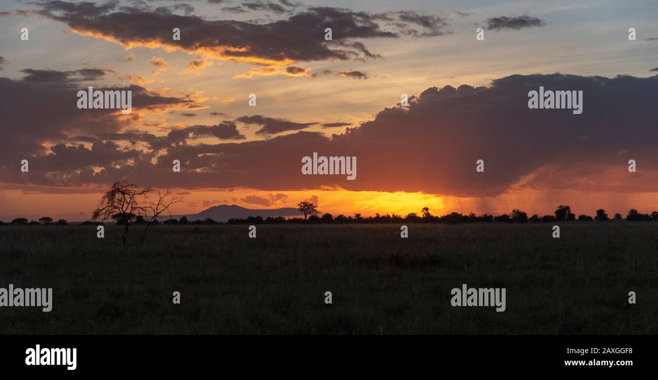 Sunset fading on the Serengeti. The last of the amazing sky almost gone. Stock Photo