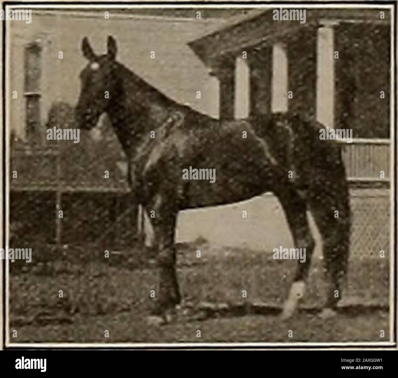 Page 4 3 17 1907 High Resolution Stock Photography And Images Alamy