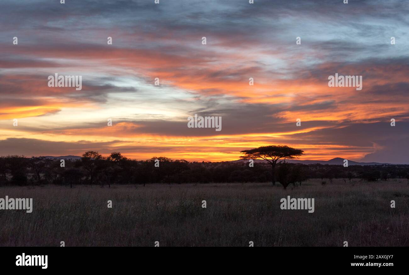 Sun set over the Serengeti plains Stock Photo