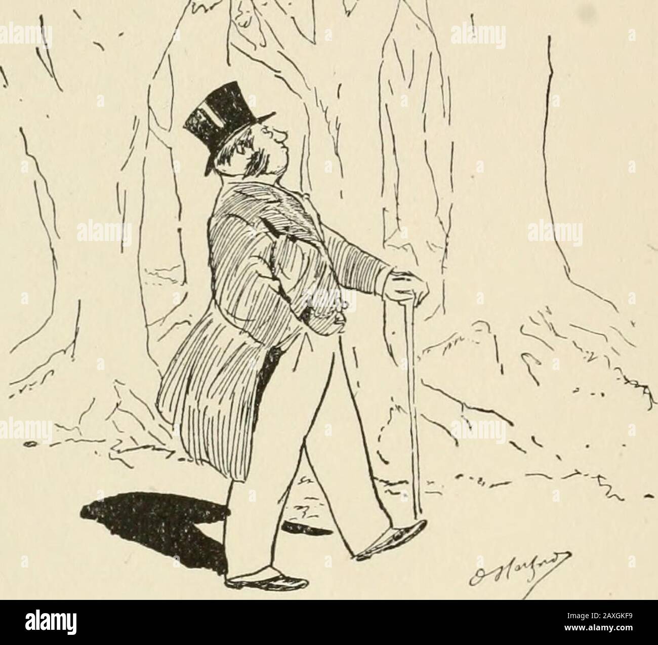 Lean wolf hi-res stock photography and images - Alamy