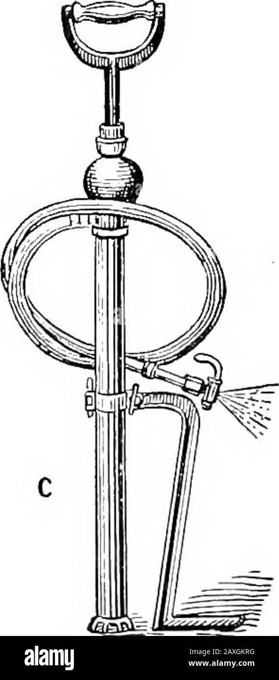 Poultry culture sanitation and hygiene . Fig. 95.—Three useful spray pumps: A, A small hand pump; B, a knap-sack type; C, the best type force spray pump. With this pump the spraycan be driven into the cracks and crevices which is necessary in successfuldisinfection. The interior should be thoroughly scrubbed with a stronghot lye solution, then scrub with a 5 per cent, solution of kresodip or other equally good disinfectant. Gaseous disinfectants, as formaldehyd gas or sulphur fumes,cannot be used unless the house can be tightly closed. If thehouse be a modern open-front type or an old shack th Stock Photo