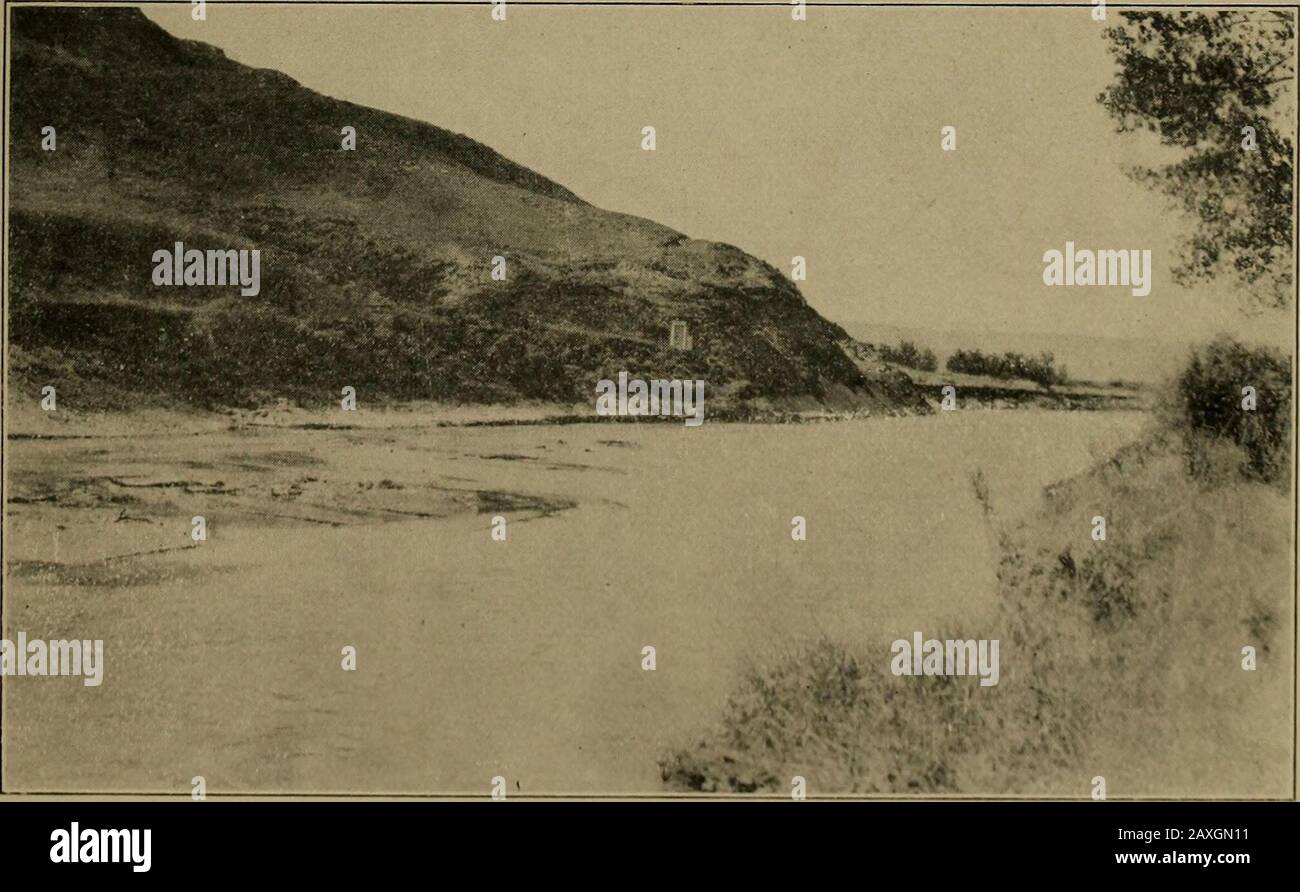 Water supply of StMary and Milk Rivers, 1898-1917 . ^.GAGING STATION OF CANADIAN RECLAMATION SERVICE ON MILK RIVER, AT MILK RIVER, ALRERTA.. n. IN riinrsiA ri()iAL (ja(;iin(j staiion oin milk mvi;M at ivsri:iLN ciu)ssi(;. WATER SUPPLY OF ST. MARY AND MILK RIVERS, 1898-1917. 161 Discharge measurements of Milh River at Milh River, Alta., 1910-1917. Date. Made by— Gageheight. Dis-charge. Date. Made by— Gageheight. Dis-charge. 1910.Apr. 18May 210 L, J. Gleeson Feet. 1.72 1.74 1.55 1.80 1.62 1.50 2.00 1.52 1.25 1.18 1.18 1.08 1.05 .86 .83 .73 .76 .76 .74 1.19 1.09 1.02 1.05 1.06 1.06 i.045 1.055 Stock Photo