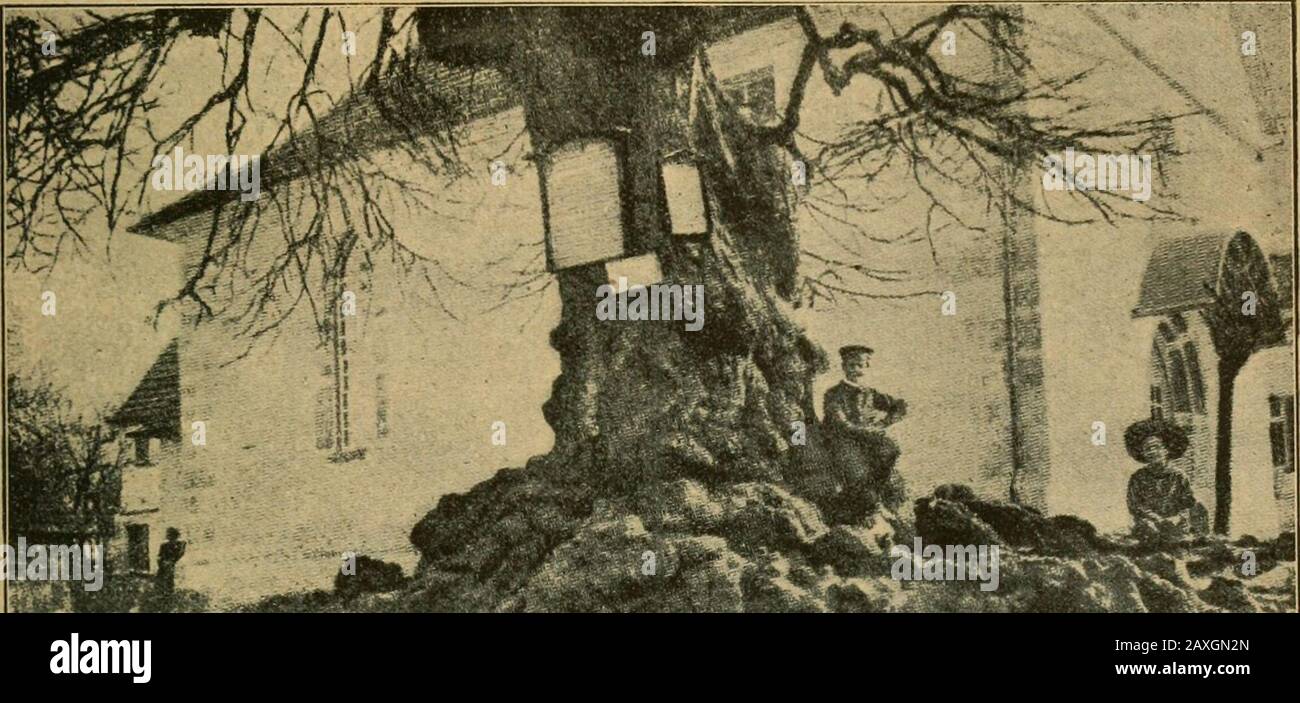 Wendisch Stock Photos Wendisch Stock Images Page 2 Alamy