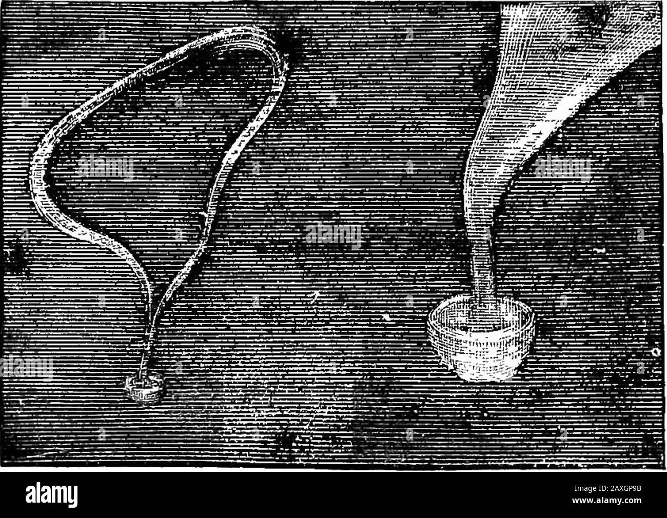 Scientific amusements . Fig. 41.—Crowns of Tobacco Smoke (after picture by  Branwer in the LouVre). projecting puffs from a cigarette through a tube.  Butsome precautions are necessary to assure the success ofthe