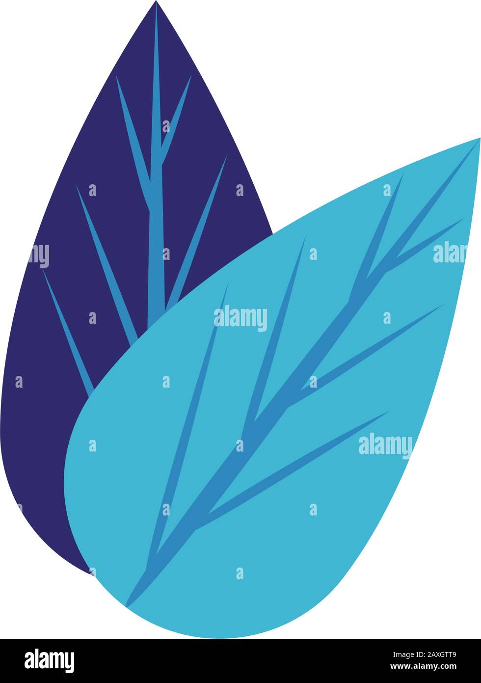 ecology leafs plant isolated icon Stock Vector Image & Art - Alamy