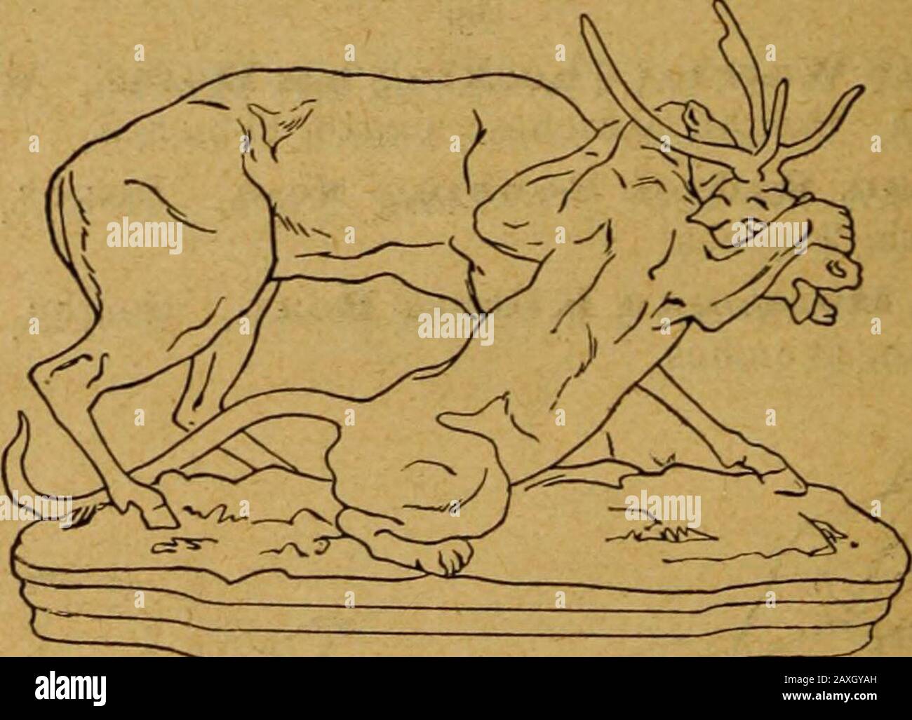Catalogue of the collections of the American Art Association to be absolutely sold by auction to settle the estate of the late RAustin Robertson; part first . 218 Panther Seizing a Stag, Height, 15 inches; length,10 inches. With ebonized high pedestal.. 218219 The Walking Tiger. (1836). Height, 8M inches; length,16^j inches. Stock Photo