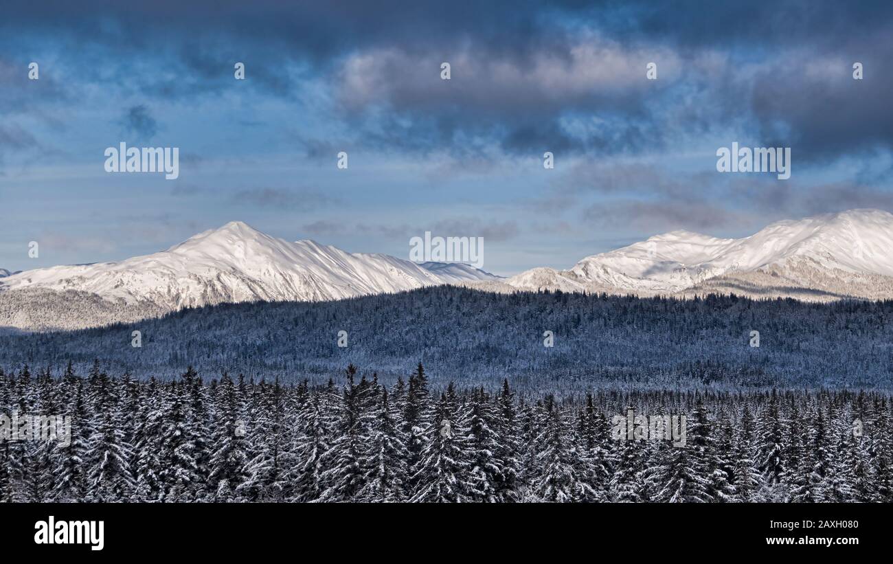 Aerial photo of boreal forest hi-res stock photography and images - Alamy
