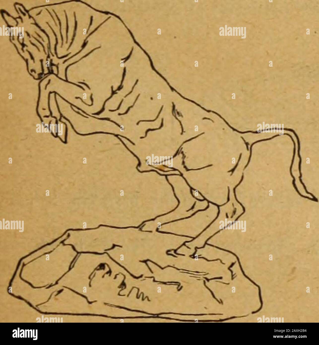 Catalogue of the collections of the American Art Association to be absolutely sold by auction to settle the estate of the late RAustin Robertson; part first . 184 186 186 The Bull in Defence. (1841.) Height, 7 inches; length, 11% inches. 187 The Rearing Bull. (1841). Height, 8J^ inches; length, 11 inches.. Stock Photo