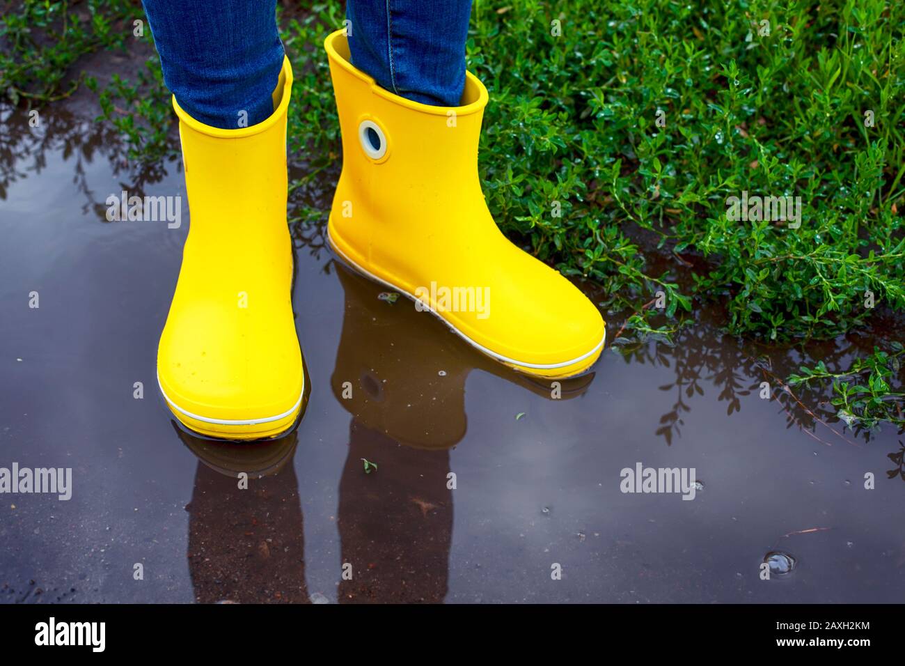 Person in yellow rubber boots standing in the puddle outdoors Stock ...