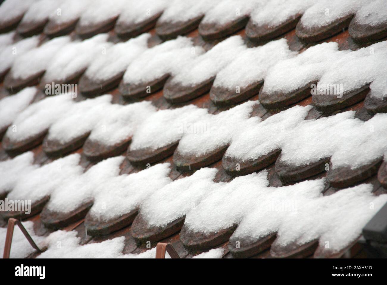 Red snow covered beaver tail roof in dew weather close up, wintry mood in february on a cloudy day Stock Photo