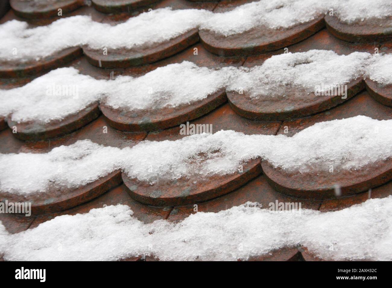 Red snow covered beaver tail roof in dew weather close up, wintry mood in february on a cloudy day Stock Photo