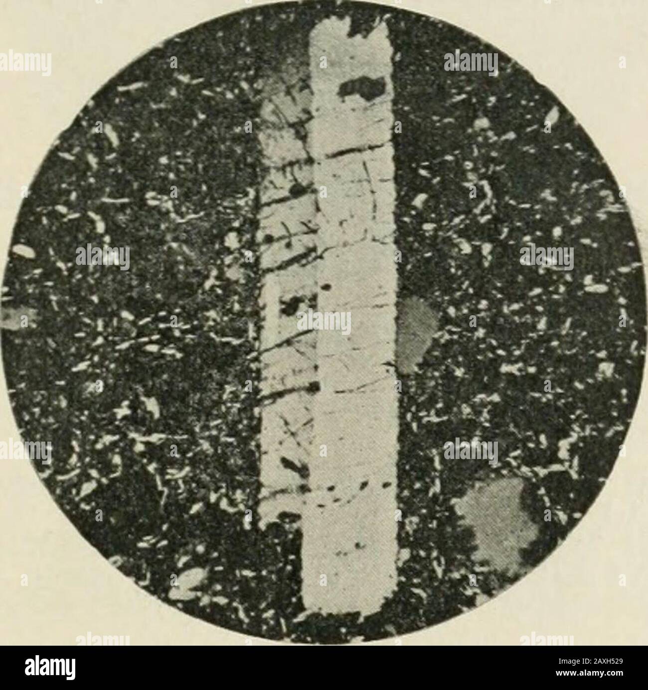 Minerals in rock sections; the practical methods of identifying minerals in  rock sections with the microscope, especially arranged for students in  technical and scientific schools . twhich the feldspar crystals formed. X