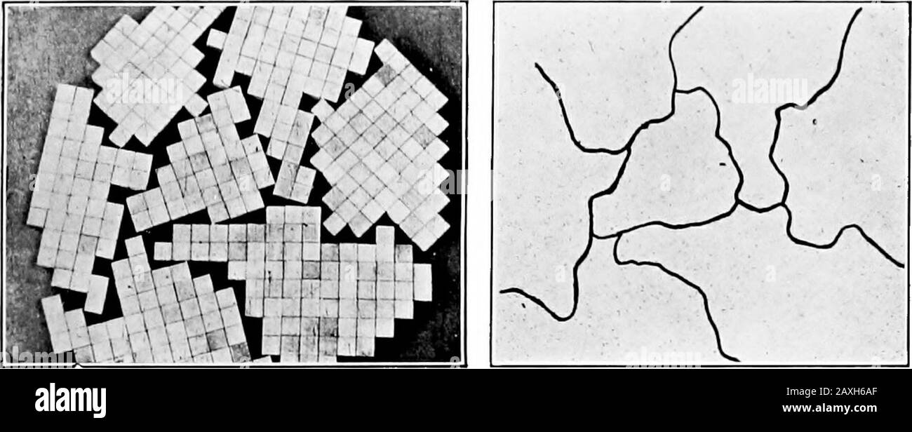 Metallurgy; an introduction to the study of physical metallurgy . ^^jUmgg^^g^^-tr  ^gg , ?^^???^^^ ^JKv^C &gt;S1 Ik ; ^^ f^^^r^ S^r^^B^ i^^ BPfc^ T  ^ :^ : f^H ISf^^^ amj 1 M.JI C^) (&lt;Z). («) Fig. 14. (O [ro/ace ^.62. PURE METALS AND ALLOYS 63 dental meeting-line of adjacent growing crystals of differentorientation. The essence of crystalline character does not reside ingeometrical outlines or shapes, but in the regular arrangementof the molecules or groups of molecules within the mass. Thegeometrical outline is merely one result of that internal struc-ture—a result which is only appare Stock Photo