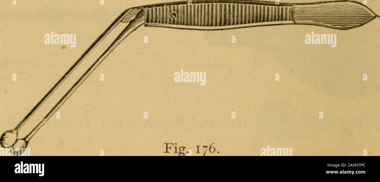 Catalogue of surgeons instruments and medical appliancesElectro-therapeutic apparatusSundries for the surgery and sick-room, medicine chests, etc . Fig. i75- Bruns, bent shanks 5/C Do. cross-action Fig. i;;N 60 .. Do. curved blades 50 Fenestrated Blades 7/6. Fig. 176. Improved form, the blades being arranged to open atthe extreme end only, so that the operator may obtain a better view. 4/6 each. Politzers, cross action (Fig. 176 7/6 ,, Purves, improved cross-action, fenestrated 7/6 .. Do. ,, ,, with catch 8/6 ., Toynbees, angular 6 6 ., Stock Photo