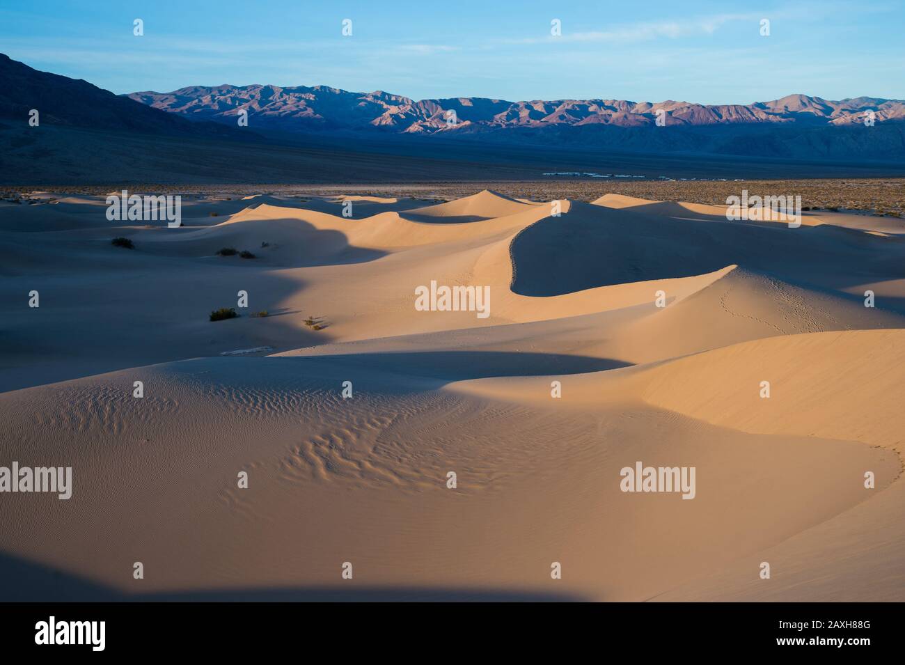 Mesquite Flat Sand Dunes Death Valley National Park California USA 