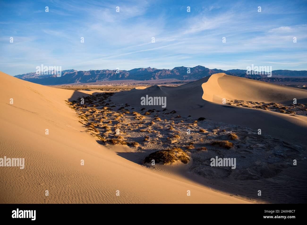 mesquite-flat-sand-dunes-death-valley-national-park-california-usa