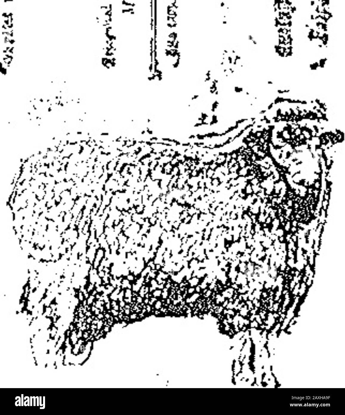 Bb8 High Resolution Stock Photography And Images Alamy