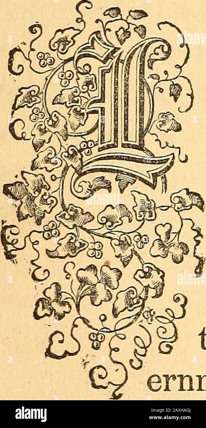 Dr Stock Photos Dr Stock Images Page 22 Alamy