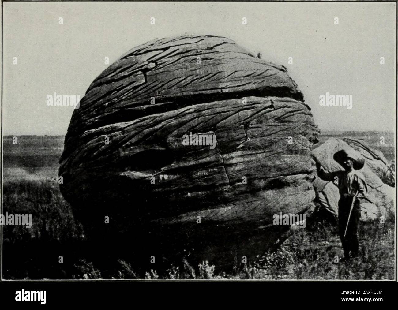 Geology . Fig. 392.—A Dakota hog back. The rock at the left is the Red beds; the ridgenear the center is occasioned by the outcrop of the resistant Dakota sandstone.Near Boulder, Colo. (Lees.) The thickness of the formation is, on the whole, rather uniform,averaging perhaps 200 or 300 feet, though greater thicknesses are known.2To the south (Texas), the Dakota formation rests on the Comancheansystem unconformably. Farther north it is often in apparent con-formity with the Comanchean, though it often, as in the Wasatchand Uinta Mountains, rests on older formations. 1 Williston, Univ. of Kans. G Stock Photo