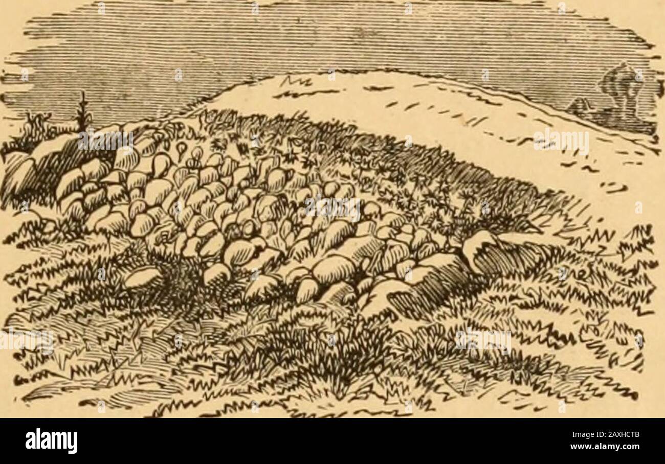Farm Echoes Ly So Land That Is Generously Enriched Will Be
