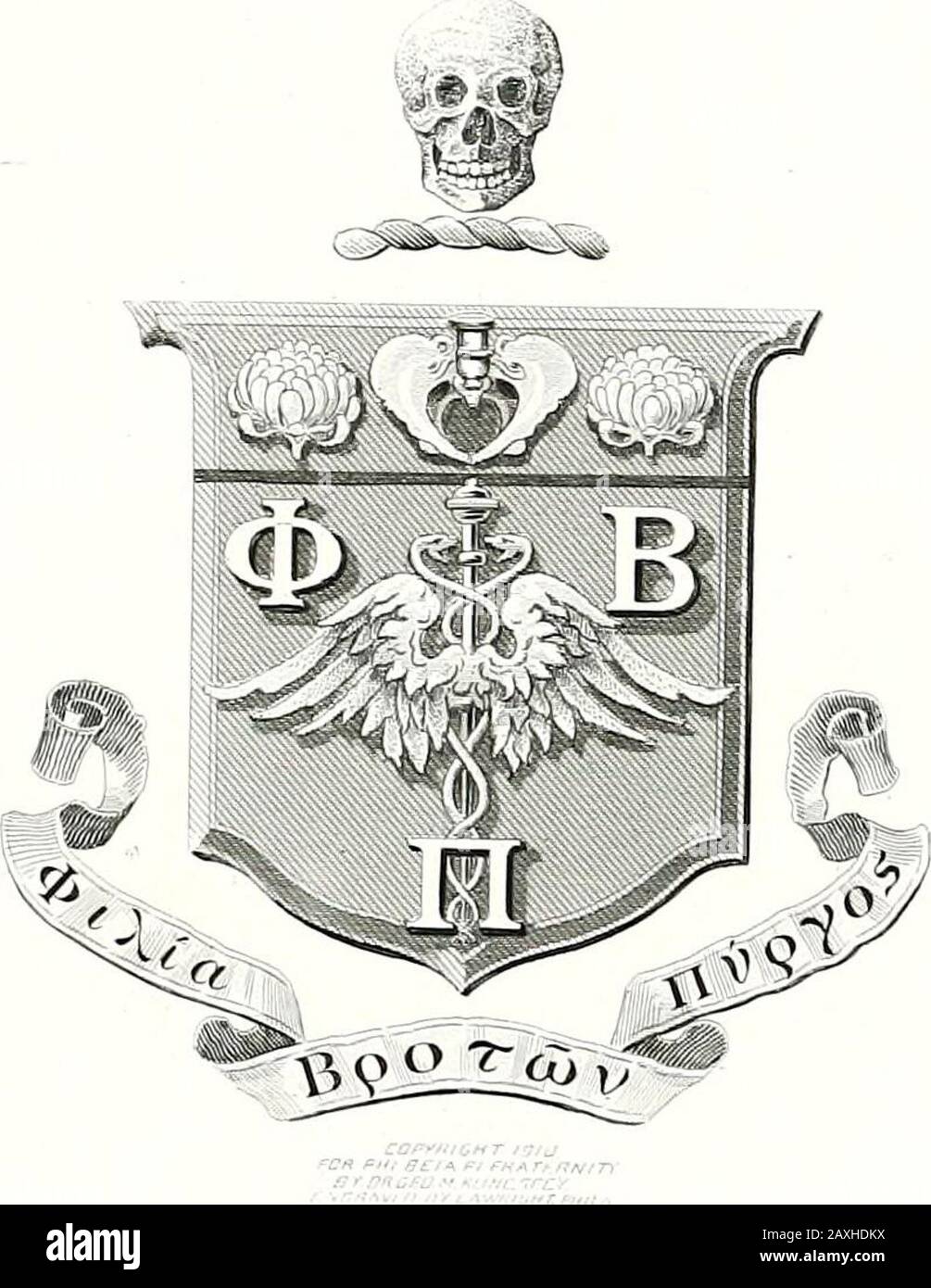 X Ray Son Medical College Chi Theta Medico Chirurgical College Psi University Of Michigan 38 The 1916 X Ray Ilftbs H L L R Fpr F The 1916 X Ray 139 Phi Chi Theta Chapter Established