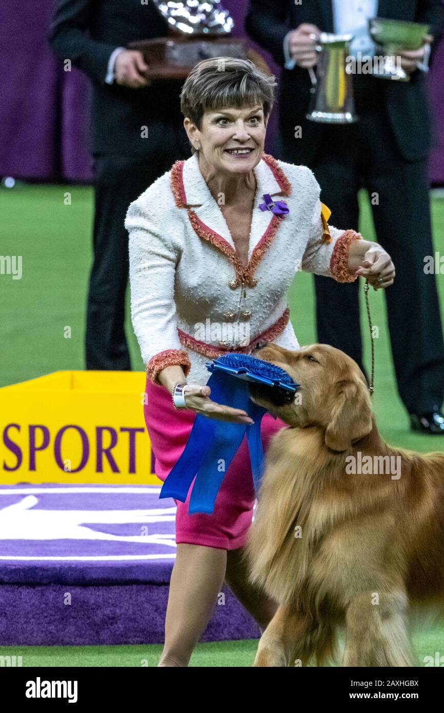 New York, USA. 11th Feb, 2020. Handler Karen Mammano lets her Golden Retriever 'Daniel'  grab the ribbon after winning the Sporting Group at the 144th Westminster Kennel Club Dog show in New York city's Madison Square Garden.  Daniel went on to the finals and was a clear favourite from the cheering crowd but did not win the Best of Show. Credit:  Enrique Shore/Alamy Live News Stock Photo