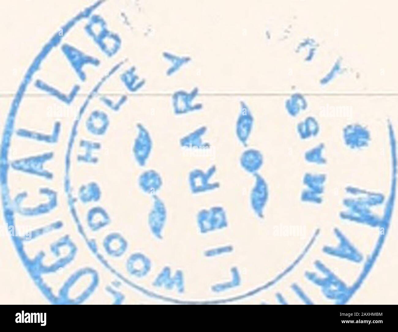 Page 11 F Xviii High Resolution Stock Photography And Images Alamy Page 11 F Xviii High Resolution Stock Photography And Images Alamy