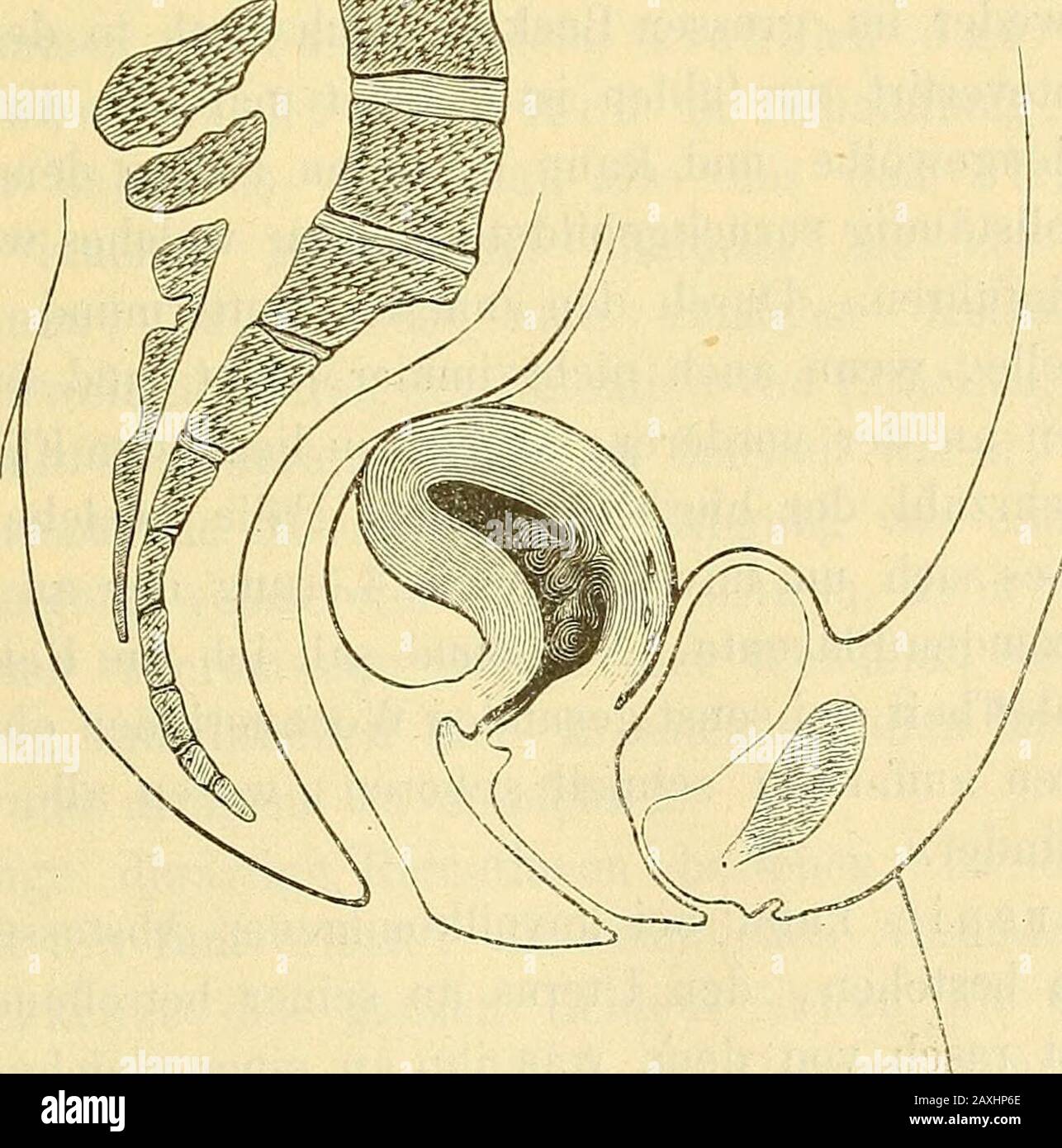 Keine Frauen High Resolution Stock Photography And Images Alamy