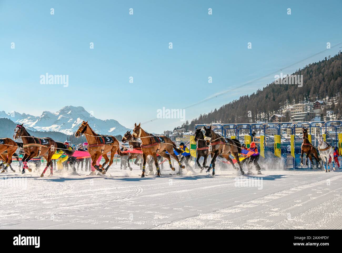 Start scene of the Skijöring race during White Turf 2020 in St.Moritz, Switzerland Stock Photo