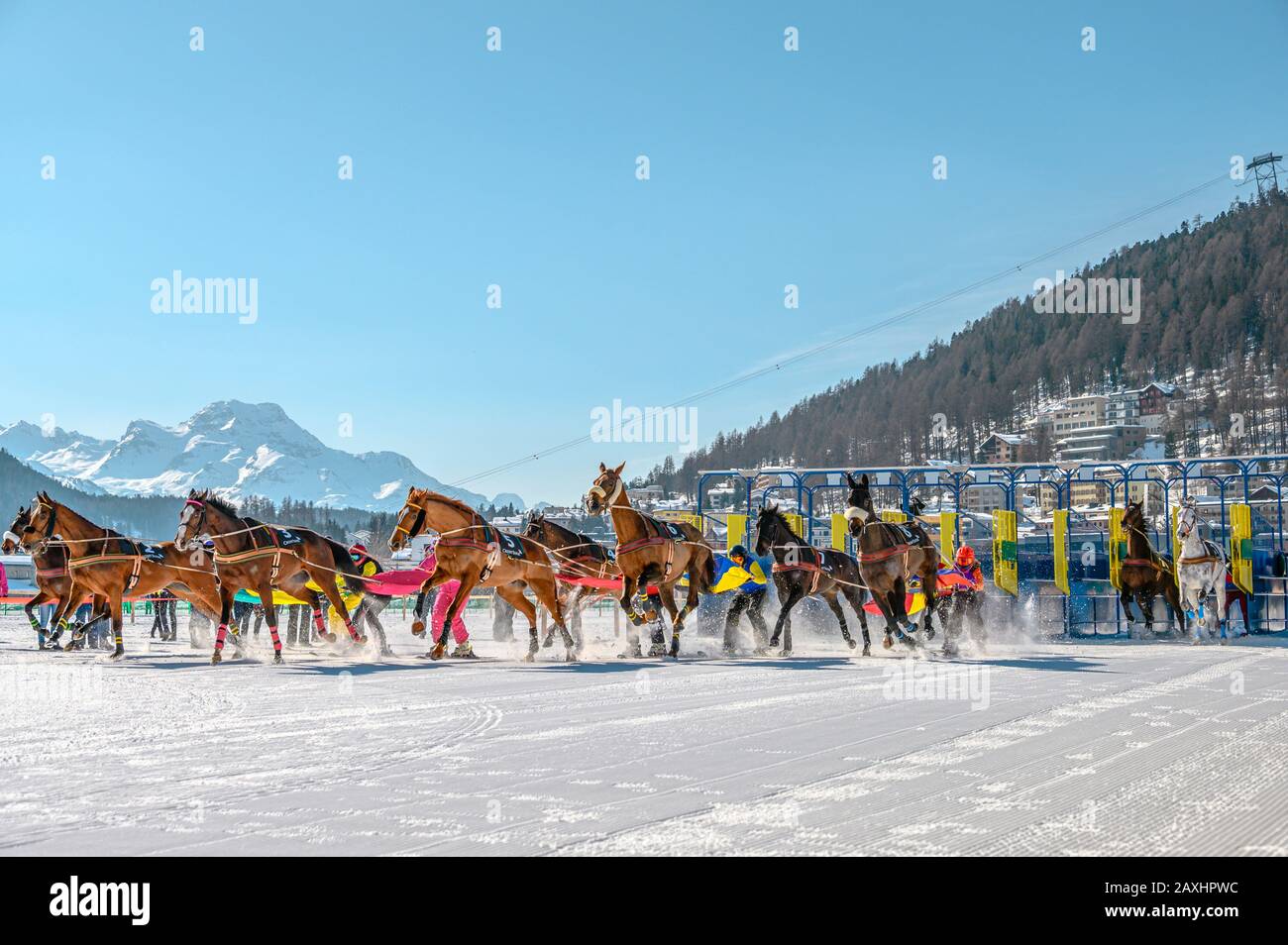 Start scene to the Skijöring race during White Turf 2020 in St.Moritz, Switzerland Stock Photo