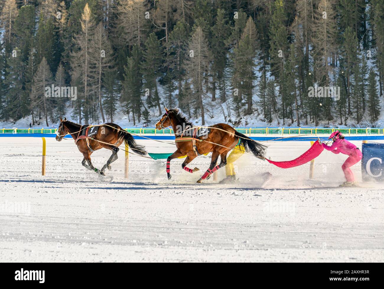 Skijöring race during White Turf 2020 in St.Moritz, Switzerland Stock Photo