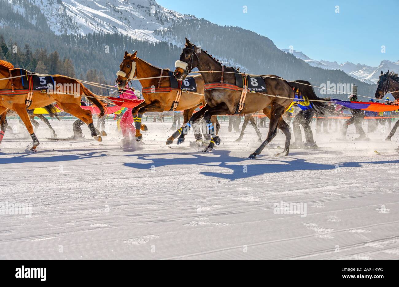 Skijöring race during White Turf 2020 in St.Moritz, Switzerland Stock Photo