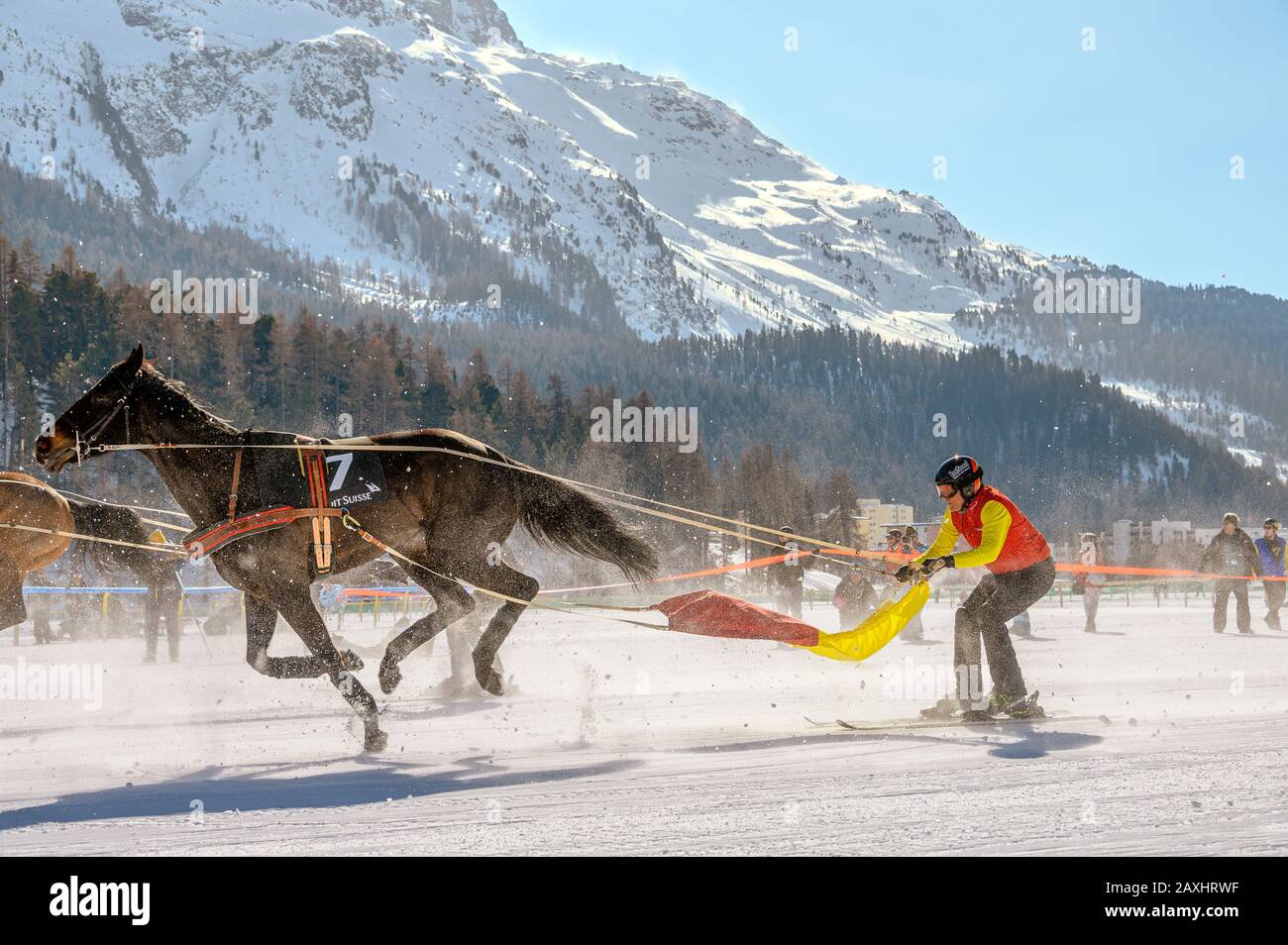 Skijöring race during White Turf 2020 in St.Moritz, Switzerland Stock Photo