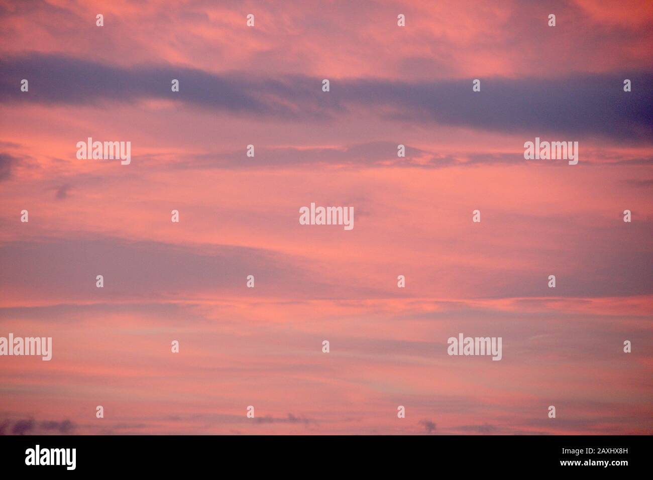 Dreamy Evening Sky In Pastel Tones With Fluffy Pink And Orange Clouds At Sunset Soft Toned Background Or Wallpaper Stock Photo Alamy Dreamy Evening Sky In Pastel Tones With Fluffy Pink And Orange Clouds At Sunset Soft Toned Background Or Wallpaper Stock Photo Alamy