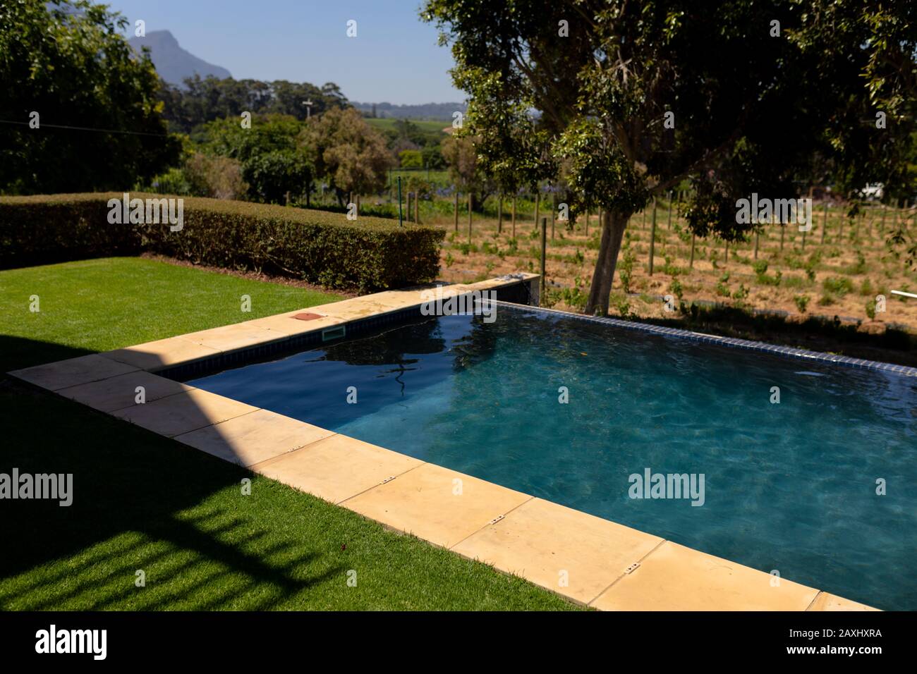 Sunny day in the pool hi-res stock photography and images - Alamy