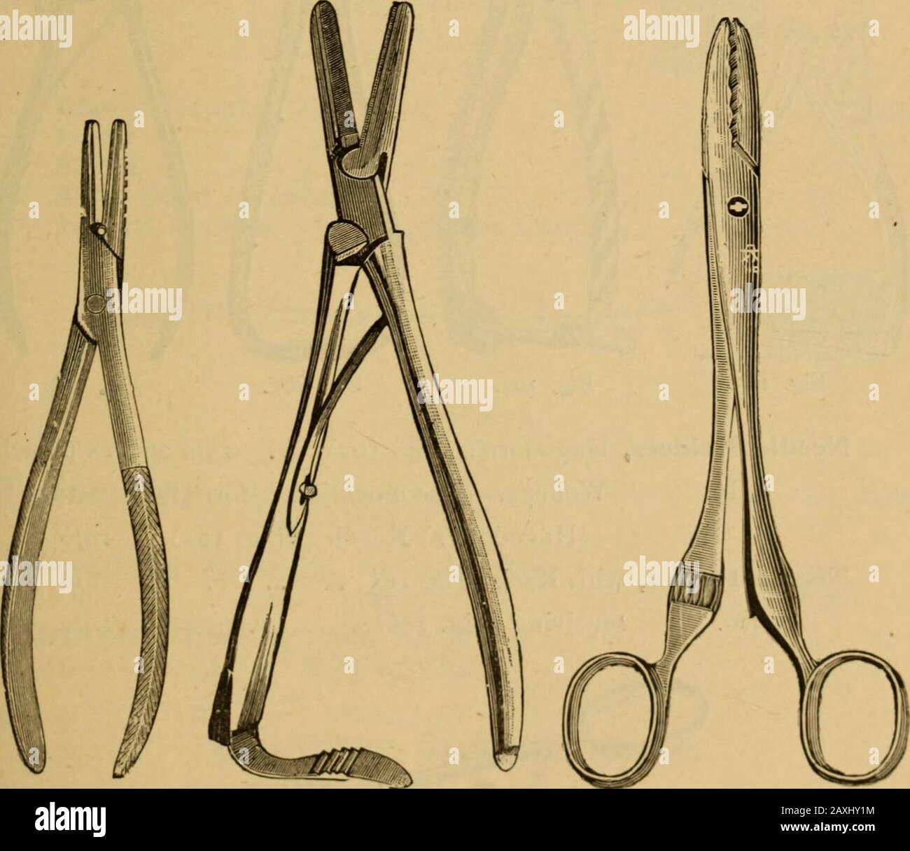Catalogue Of Surgeons Instruments And Medical Applianceselectro Therapeutic Apparatussundries For The Surgery And Sick Room Medicine Chests Etc Fig 99 Plain Steel One Piece Fig 99 Double Hook Ebony Handle See Also Section Catalogue Of Surgeons Instruments And Medical Applianceselectro Therapeutic Apparatussundries For The Surgery And Sick Room Medicine Chests Etc Fig 99 Plain Steel One Piece Fig 99 Double Hook Ebony Handle See Also Section