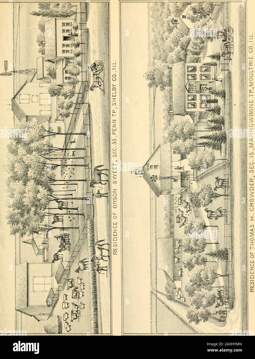 Portrait and biographical record of Shelby and Moultrie counties Illinois, containing ..sketches of prominent ..citizens ..the governors of the state ..the presidents of the United States . ols. Whenthirteen years old, the manly, resolute young ladbegan to earn his own living by working on a farmby the month, receiving at first hut £N a month.This was a hard training for a boy hut lie obtaineda good insight into the best methods of carryingon farming while he worked out. which he con-tinued doing until his marriage. lie then boughtforty-two acres of land in Chester Township, inhis native count Stock Photo