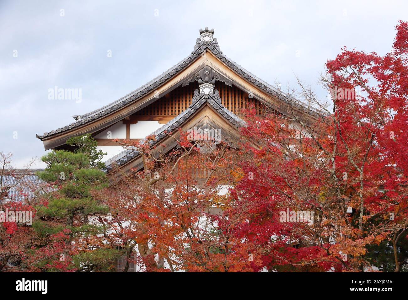 Kyoto, Japan. Colorful autumn leaves at Eikando temple. Stock Photo