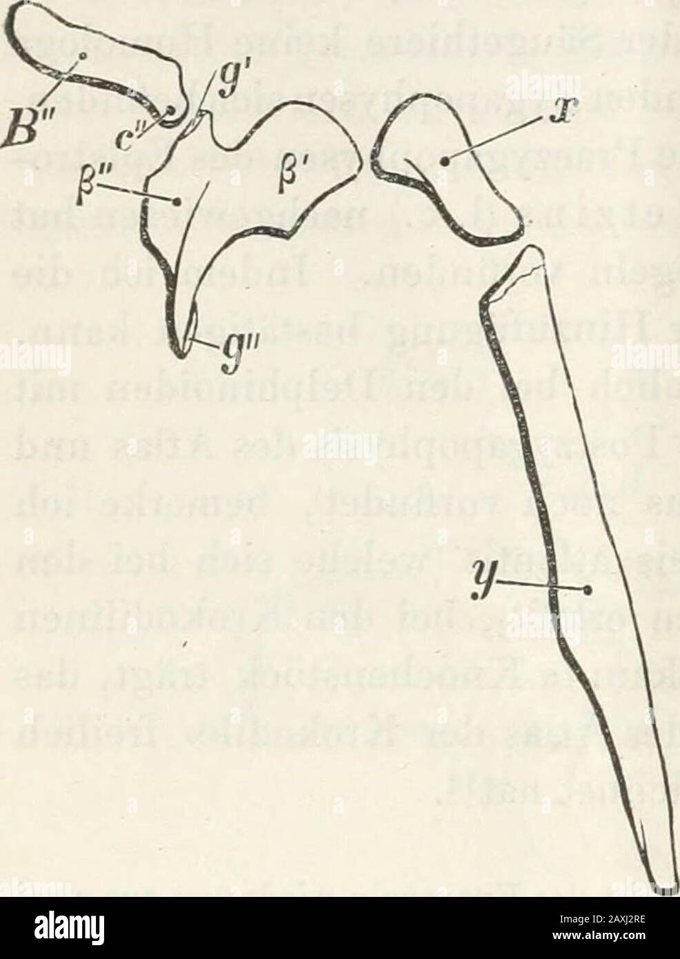 Dr Prof Stock Photos Dr Prof Stock Images Alamy