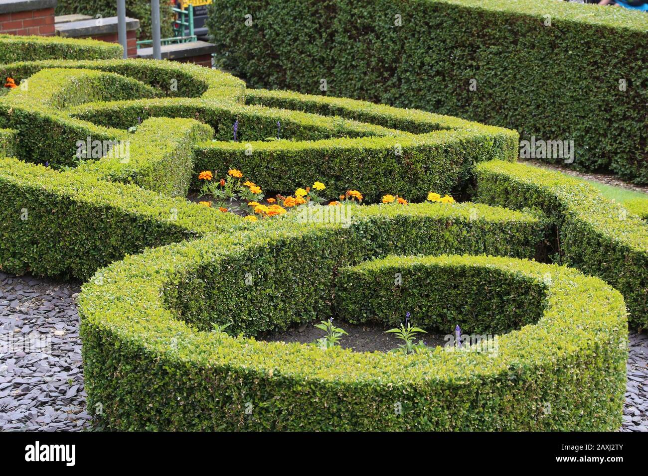 Leeds city in West Yorkshire, UK. Trimmed hedge garden in front of