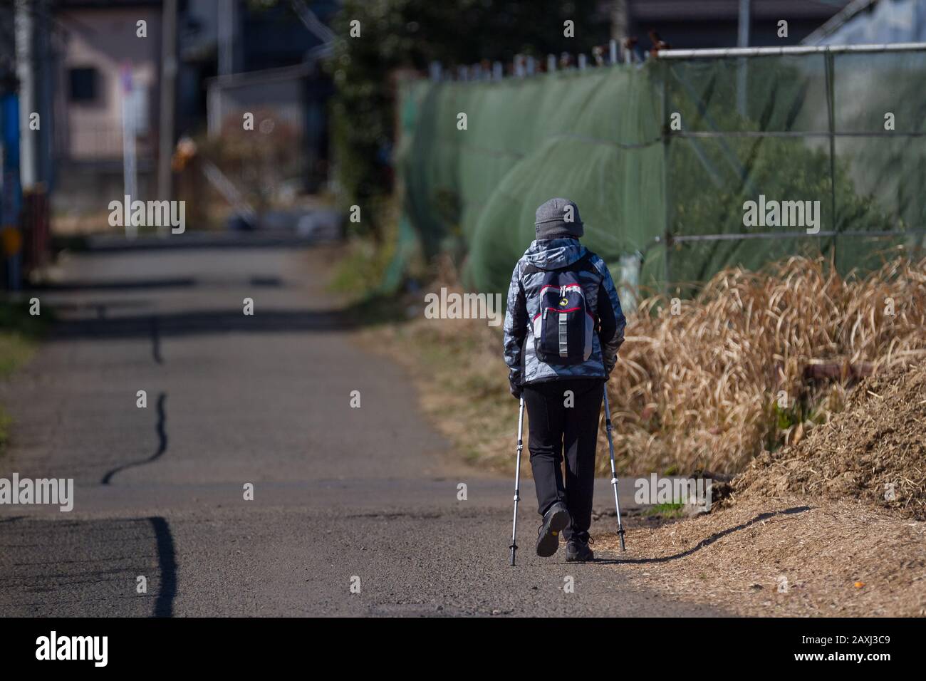 An older Japanese woman uses hiking poles to walk in rural areas near Yamato, Kanagawa, Japan