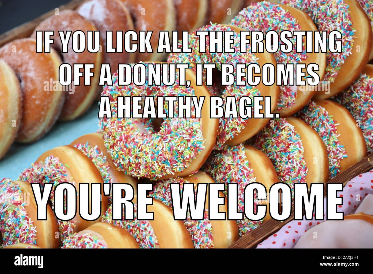 Most Viral Memes Funny Donut Memes In Honor Of National Donut Day ...